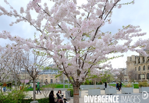 N oublions pas le printemps quand même !