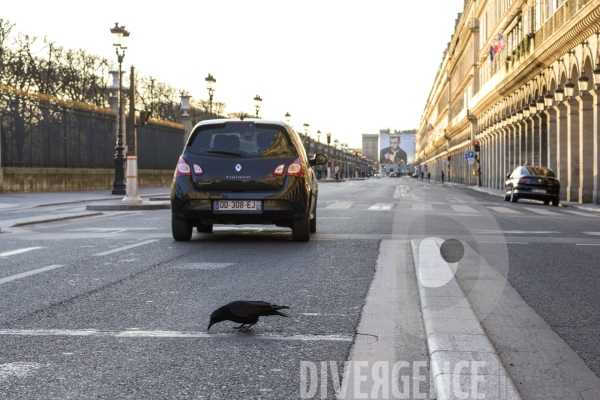 Paris au temps du coronavirus