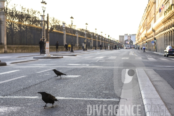 Paris au temps du coronavirus