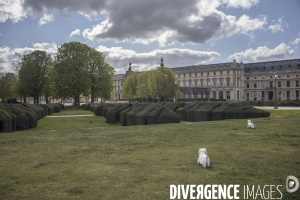 Paris, ville sous confinement, jour 13