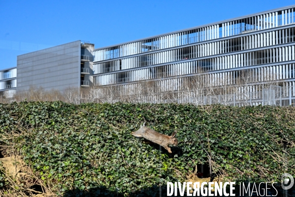 Aéroport Charles de Gaulle à l heure du Coronavirus. Neuvième jour de confinement dans l épidémie de Coronavirus.