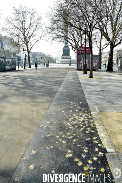 Confinement Covid-19. Paris desertique, quartier Bastille. The Covid-19 Coronavirus pandemic.