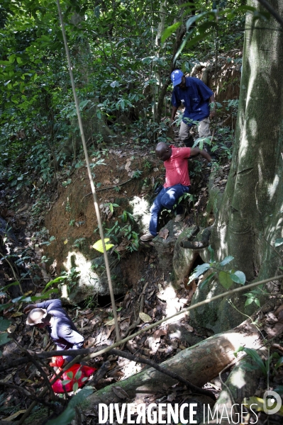 Chasseurs de Virus, sur la piste des chauves souris