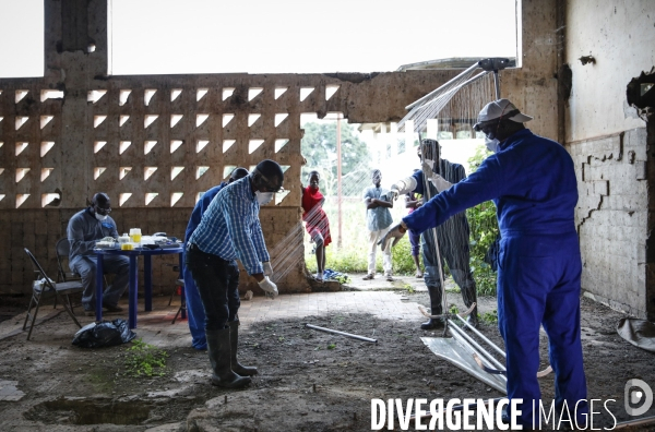 Chasseurs de Virus, sur la piste des chauves souris