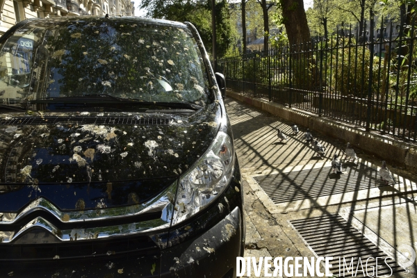 Confinement Covid-19. Paris desertique, quartier Bastille. The Covid-19 Coronavirus pandemic.