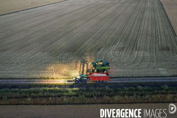 Récoltes rizières et Production chez   Riso Gallo  dans la plaine du Pô Italie