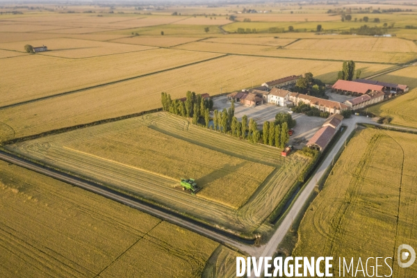 Récoltes rizières et Production chez   Riso Gallo  dans la plaine du Pô Italie