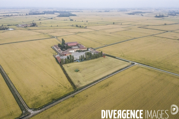 Récoltes rizières et Production chez   Riso Gallo  dans la plaine du Pô Italie