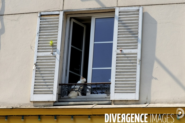 Les Parisiens durant le confinement pendant le Coronavirus Covid -19. ConfinedÊParisians living during the Coronavirus Covid-19.