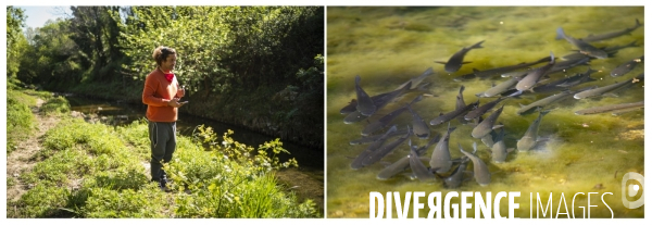 La nature au temps du COVID