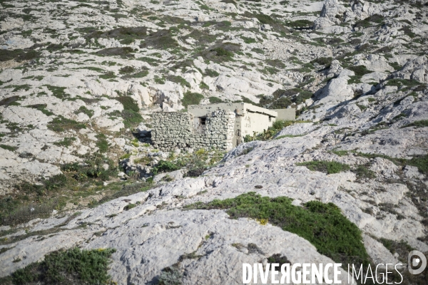 La nature au temps du COVID