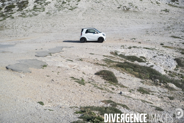 La nature au temps du COVID