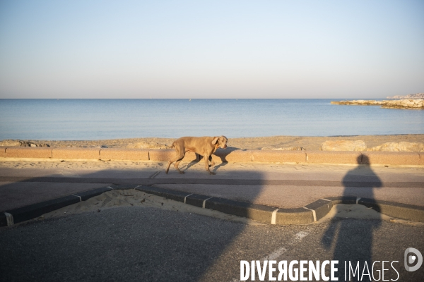 La nature au temps du COVID