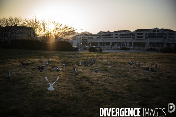 La nature au temps du COVID