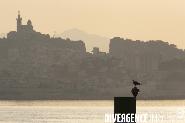 Marseille au temps du Coronavirus