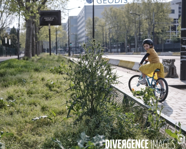 Paris, troisième semaine de confinement.