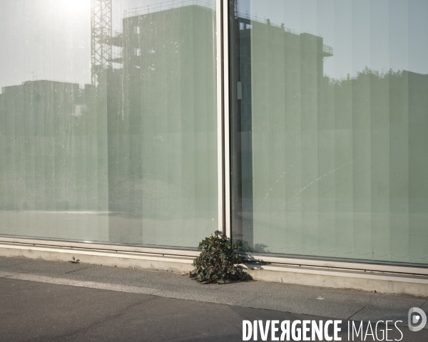Paris, 22e jour de confinement dû au coronavirus