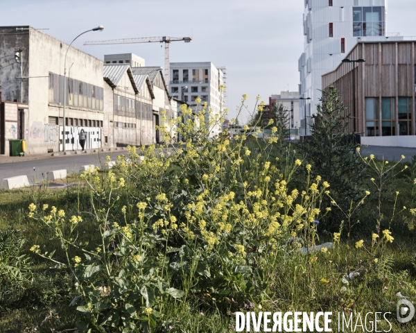 Aubervilliers troisième semaine de confinement dû au coronavirus