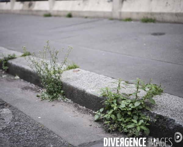 Paris, 22e jour de confinement dû au coronavirus