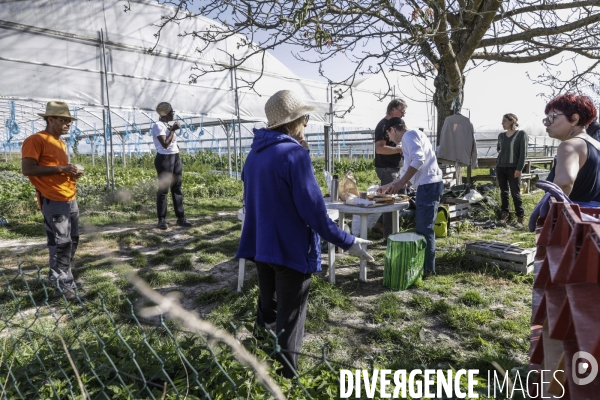 AMAP bio en banlieue Parisienne