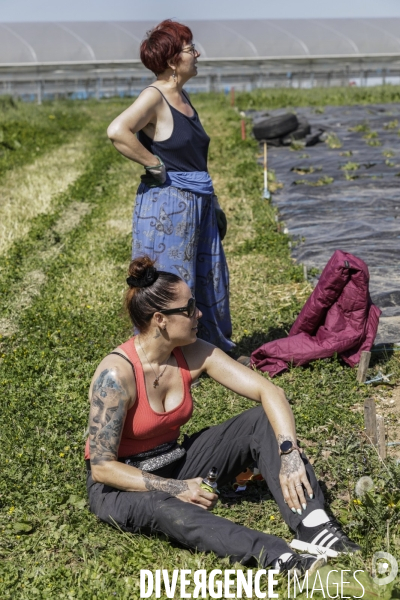 AMAP bio en banlieue Parisienne