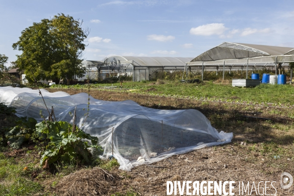 AMAP bio en banlieue Parisienne