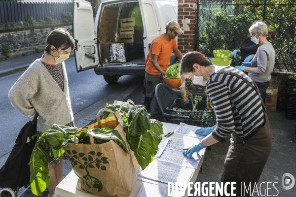 AMAP bio en banlieue Parisienne