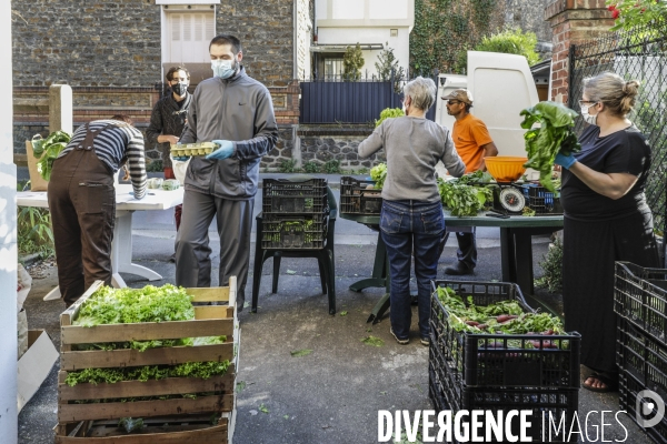 AMAP bio en banlieue Parisienne