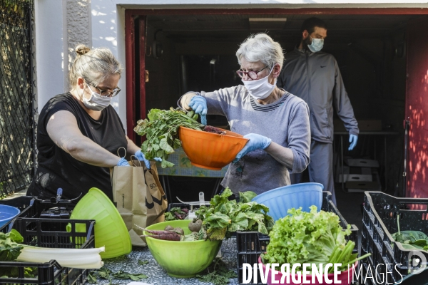 AMAP bio en banlieue Parisienne