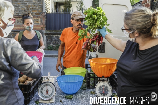 AMAP bio en banlieue Parisienne