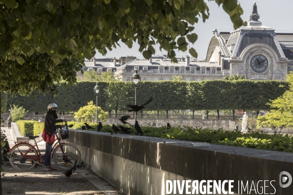 Confinement à Paris