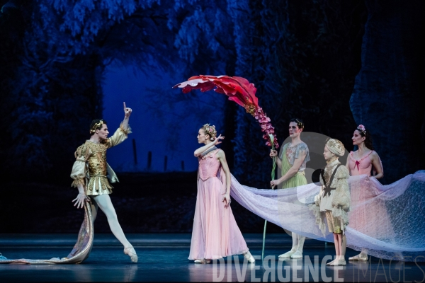 Le Songe d une nuit d été / George Balanchine /  William Shakespeare / Christian Lacroix