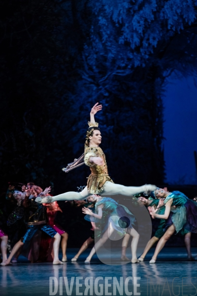 Le Songe d une nuit d été / George Balanchine /  William Shakespeare / Christian Lacroix