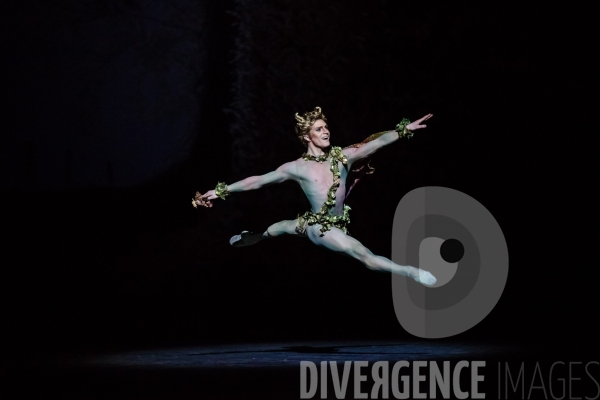 Le Songe d une nuit d été / George Balanchine /  William Shakespeare / Christian Lacroix