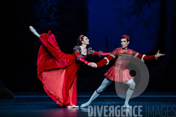 Le Songe d une nuit d été / George Balanchine /  William Shakespeare / Christian Lacroix
