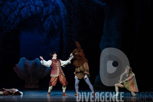 Le Songe d une nuit d été / George Balanchine /  William Shakespeare / Christian Lacroix
