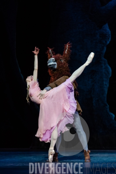 Le Songe d une nuit d été / George Balanchine /  William Shakespeare / Christian Lacroix
