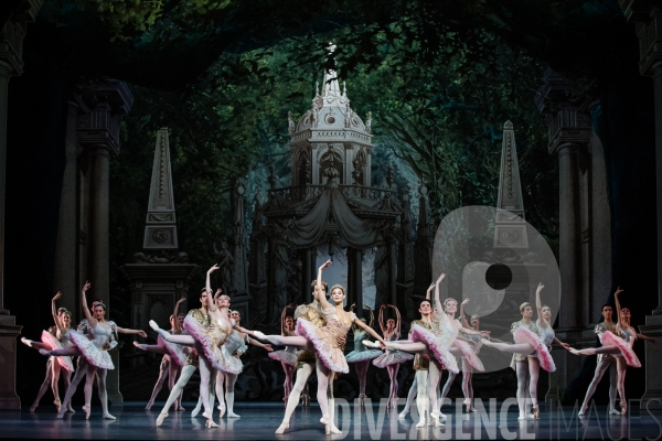 Le Songe d une nuit d été / George Balanchine /  William Shakespeare / Christian Lacroix