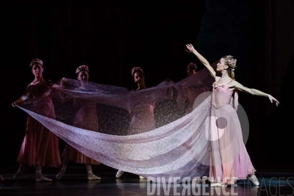 Le Songe d une nuit d été / George Balanchine /  William Shakespeare / Christian Lacroix