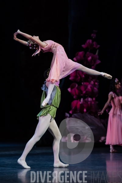 Le Songe d une nuit d été / George Balanchine /  William Shakespeare / Christian Lacroix