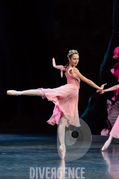 Le Songe d une nuit d été / George Balanchine /  William Shakespeare / Christian Lacroix