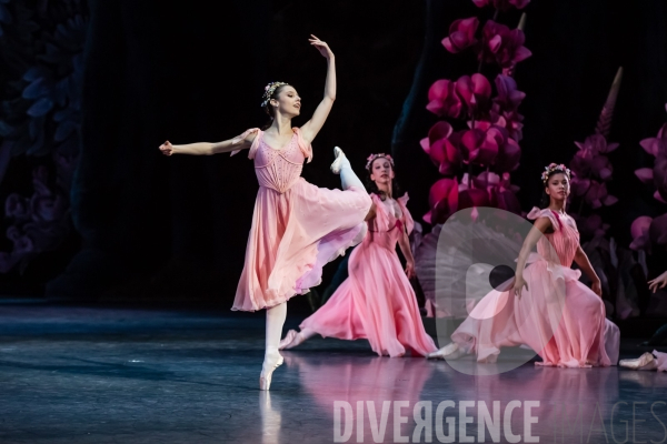 Le Songe d une nuit d été / George Balanchine /  William Shakespeare / Christian Lacroix
