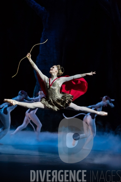 Le Songe d une nuit d été / George Balanchine /  William Shakespeare / Christian Lacroix