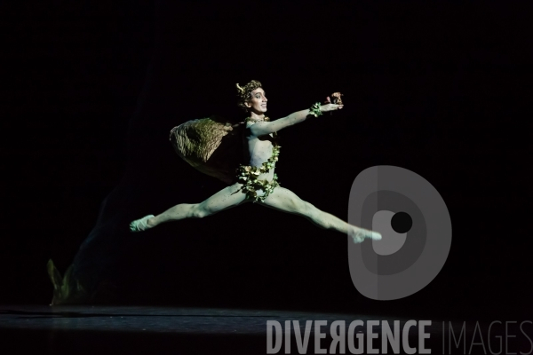 Le Songe d une nuit d été / George Balanchine /  William Shakespeare / Christian Lacroix