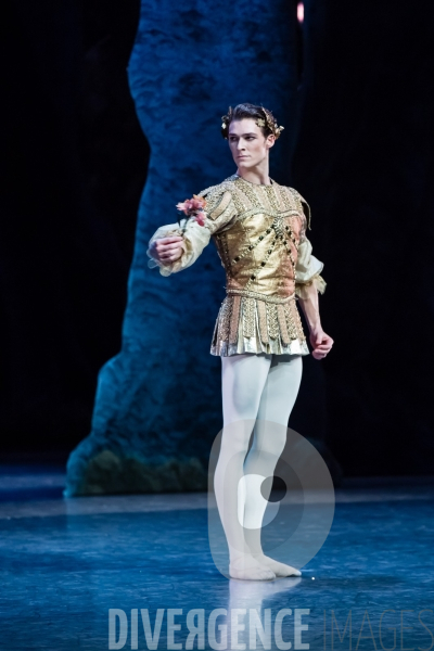 Le Songe d une nuit d été / George Balanchine /  William Shakespeare / Christian Lacroix