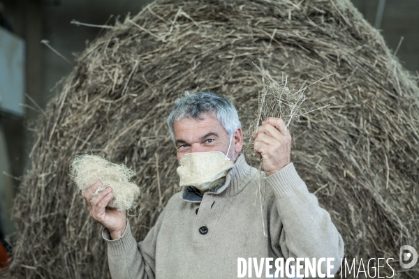 GEOCHANVRE - Masques bio en fibres de chanvre