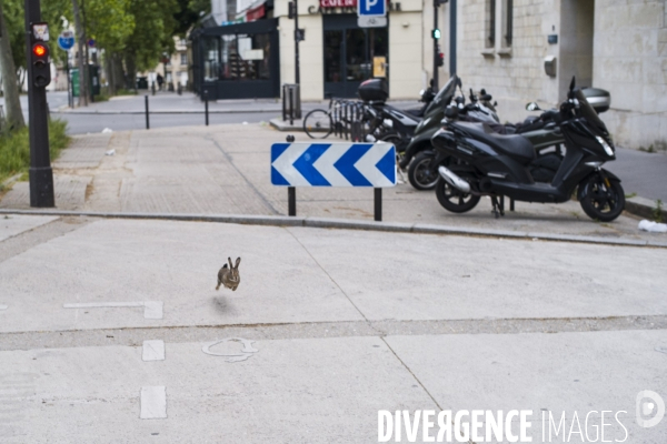 Paris vide, 48eme jour de confinement contre le covid 19.