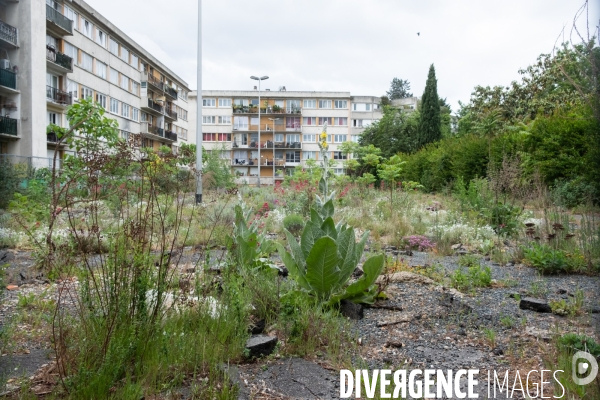 Les rues d Aubervilliers au temps du coronavirus