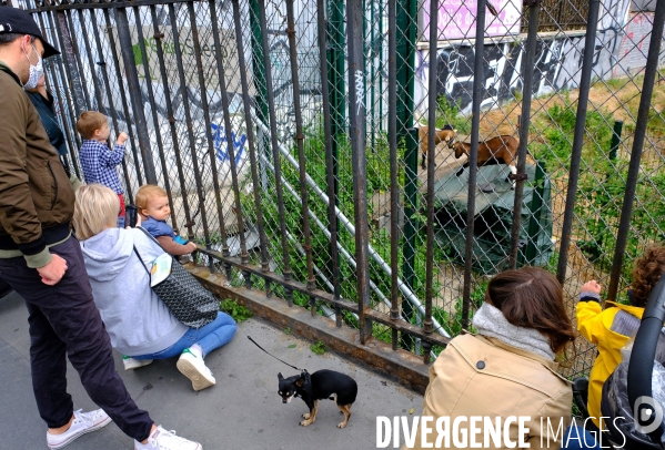 Journal d un confiné, J + 49
