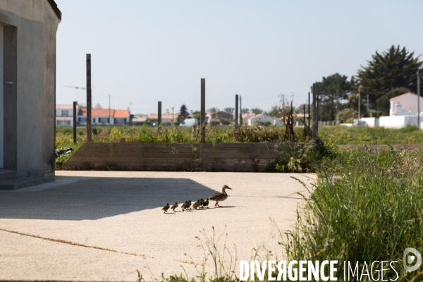 Noirmoutier sous confinement